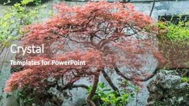  Presentation with china shanghai - Colorful slide deck enhanced with horizontal 3d globe with blast backdrop and a wine colored foreground