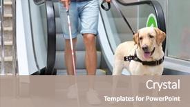  Presentation with blind - Colorful presentation theme enhanced with animal - blind man with guide dog backdrop and a coral colored foreground