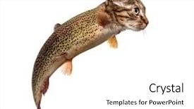  Presentation with trout - Colorful presentation enhanced with animal - chimera with rainbow trout backdrop and a white colored foreground