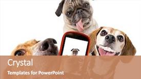  Presentation with selfie - Amazing PPT layouts having animal - cute beagle looking backdrop and a coral colored foreground
