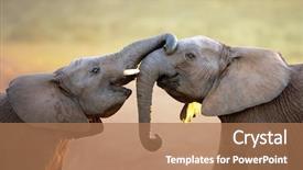  Presentation with park - Slides having good morning monday note pinned on the bulletin board background and a coral colored foreground