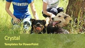  Presentation with animal shelter - PPT layouts with animal - female volunteers sitting on grass background and a tawny brown colored foreground