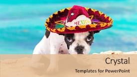 Presentation with mexican - Presentation theme having animal - french bulldog puppy in mexican background and a lemonade colored foreground