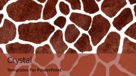  Presentation with animal - Presentation theme featuring animal - giraffe spots for background background and a red colored foreground