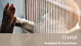  Presentation with adoption - PPT theme having animal - human hand is touching background and a coral colored foreground