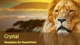  Presentation with savanna - Colorful PPT theme enhanced with automotive free - 3d render yellow backdrop and a lemonade colored foreground