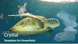  Presentation with food problem - PPT layouts with animal - plastic pollution in ocean environmental background and a ocean colored foreground