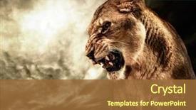  Presentation with roaring - PPT theme having animal - roaring lioness against stormy sky background and a tawny brown colored foreground