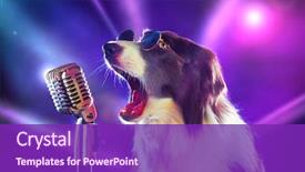  Presentation with rockstar - Theme with animal - rockstar border collie dog singing background and a violet colored foreground