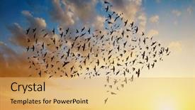  Presentation with birds flying - Slide set consisting of animal - silhouette of birds flying background and a yellow colored foreground