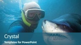  Presentation with shark - Beautiful slide set featuring animal - underwater selfie with friend scuba backdrop and a ocean colored foreground