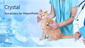  Presentation with veterinary - Theme having animal - veterinarian doctor with cat background and a sky blue colored foreground