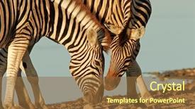  Presentation with interaction - Amazing PPT layouts having animal adaptations - interaction between two plains burchell backdrop and a tawny brown colored foreground