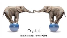  Presentation with elephants - Presentation design with fruit half and two segments background and a pink colored foreground