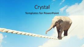  Presentation with elephant - Beautiful PPT layouts featuring bipolar disorder medicine doctor working backdrop and a  colored foreground.