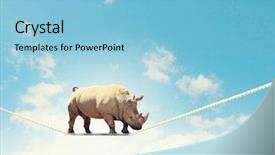  Presentation with rope - Colorful slides enhanced with equilibrio animal - image of rhino walking backdrop and a light blue colored foreground