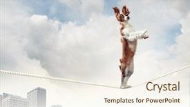  Presentation with balancing heart and brain - Presentation theme consisting of steady - image of spaniel dog balancing background and a cream colored foreground