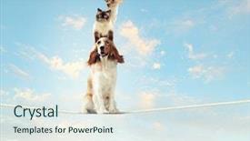  Presentation with rope - Beautiful theme featuring equilibrio animal - image of spaniel dog balancing backdrop and a sky blue colored foreground