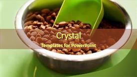  Presentation with pet food - Amazing slides having metal bowl with dry pet backdrop and a tawny brown colored foreground