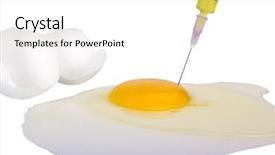  Presentation with syringe - PPT theme having animal biotechnology - syringe injecting yellow liquid background and a white colored foreground