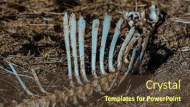  Presentation with desert - PPT layouts having animal-bones-in-the-desert background and a tawny brown colored foreground