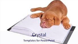  Presentation with fall across country - Theme having animal book - tired puppy fall asleep lying background and a sky blue colored foreground