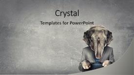  Presentation with animal - Cool new slides with animal businessman diplomat mixed media backdrop and a light gray colored foreground