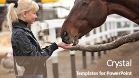  Presentation with ranch - Amazing theme having animal care - beautiful girl feeding her horse backdrop and a coral colored foreground