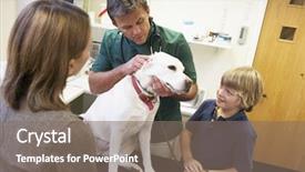  Presentation with examination - Colorful slide deck enhanced with animal care - boy and mother taking dog backdrop and a gray colored foreground