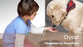  Presentation with child care - Theme with animal care - cute child feeding his pet background and a coral colored foreground