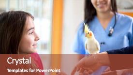  Presentation with parrot - Colorful theme enhanced with animal care - cute girl at veterinarian backdrop and a red colored foreground
