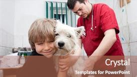  Presentation with vaccine hesitancy - Presentation theme enhanced with animal care - little boy holding his westie background and a coral colored foreground
