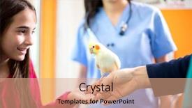  Presentation with parrot - Beautiful slide set featuring animal care - lovely girl brought her nymph backdrop and a coral colored foreground