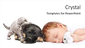  Presentation with baby toy - Slide set having animal care - sleeping baby boy with toy background and a white colored foreground