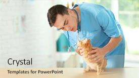  Presentation with vet - PPT layouts featuring animal care - veterinarian doctor checking cat background and a lemonade colored foreground