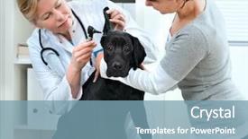  Presentation with puppy - Audience pleasing presentation consisting of animal care - veterinarian doctor making a checkup backdrop and a seafoam green colored foreground