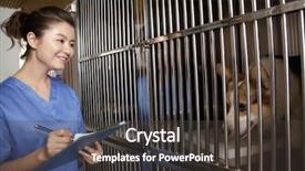  Presentation with medical - Cool new theme with animal care - veterinarian filling out medical chart backdrop and a dark gray colored foreground