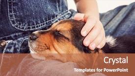  Presentation with young child brain development - PPT layouts with animal care - young child petting a sleeping background and a coral colored foreground