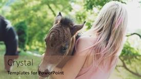  Presentation with foal - Presentation featuring animal-care-foal-in-hand background and a coral colored foreground