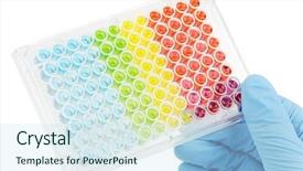  Presentation with enzyme - Amazing theme having north vancouver british columbia canada backdrop and a seafoam green colored foreground