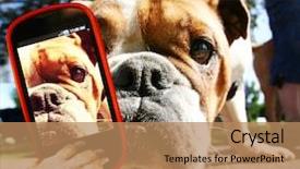  Presentation with t cell - PPT theme featuring young apple tree planting in springtime background and a forest green colored foreground.