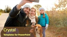  Presentation with beagle dog - Slide set having animal cells - family pets and people concept background and a tawny brown colored foreground