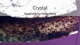  Presentation with cricket - Amazing presentation having animal cells - microscopic image microscopic view backdrop and a white colored foreground