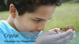  Presentation with young children - Presentation design consisting of animal children - closeup of young boy observing background and a light blue colored foreground