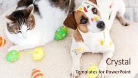  Presentation with dog cat - Beautiful slide deck featuring animal drawings - dog and cat with easter backdrop and a lemonade colored foreground