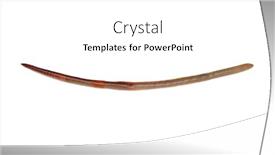  Presentation with worm - Slides enhanced with animal-earth-worm-isolated background and a white colored foreground