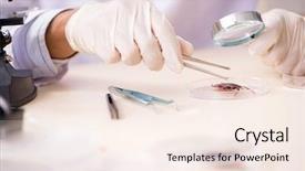  Presentation with lab animal - Slide deck having animal experimentation - male entomologist working background and a cream colored foreground