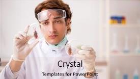  Presentation with lab - PPT layouts enhanced with animal experimentation - male entomologist working background and a lemonade colored foreground