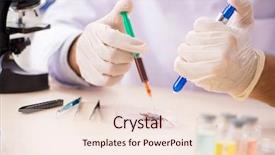  Presentation with new orlenas - Slides with animal experimentation - male entomologist working background and a lemonade colored foreground