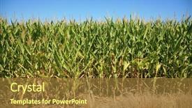  Presentation with example - Colorful presentation design enhanced with animal feed and product use backdrop and a tawny brown colored foreground
